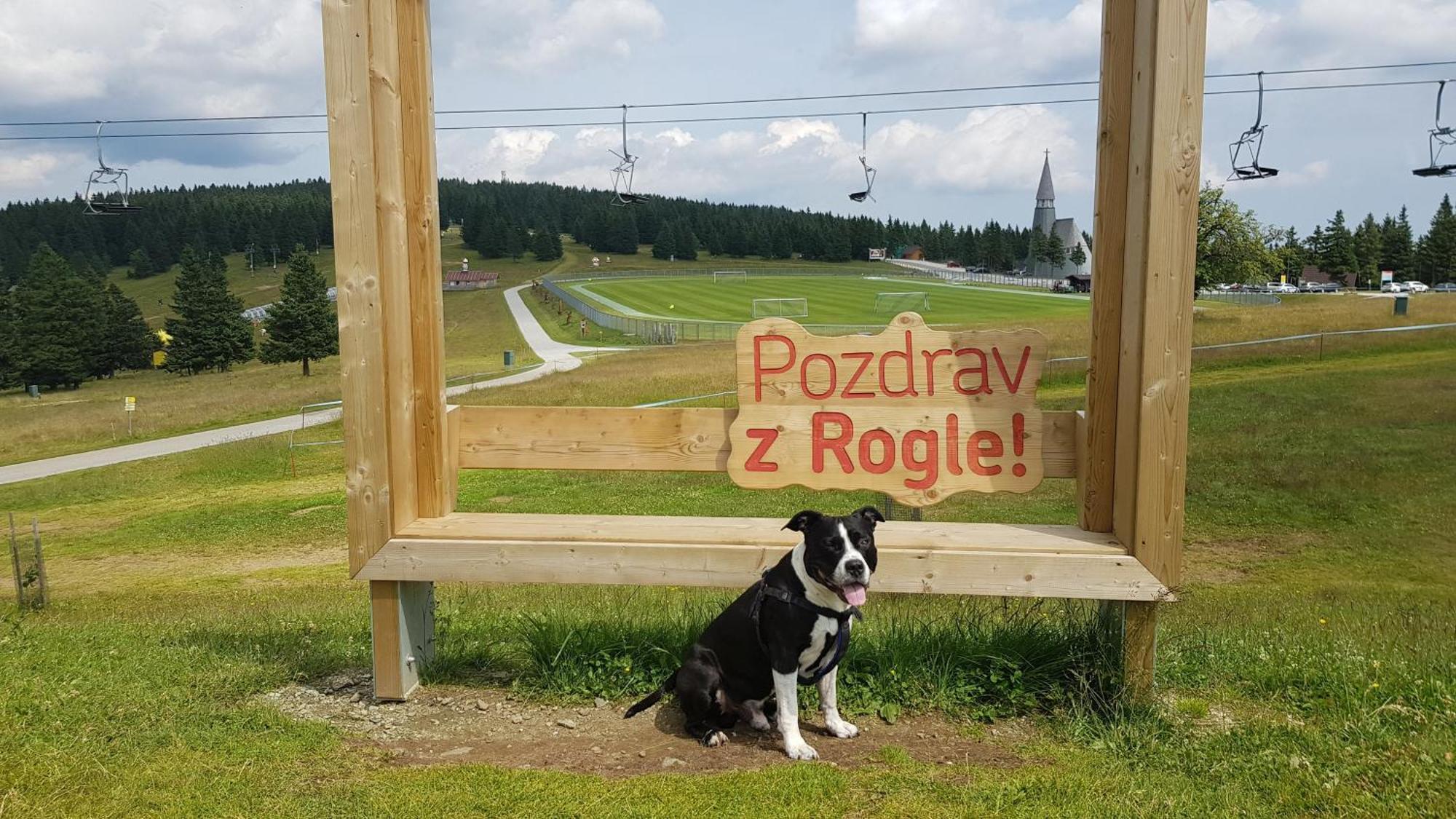Rogla Apartma Kekec Zreče Zewnętrze zdjęcie